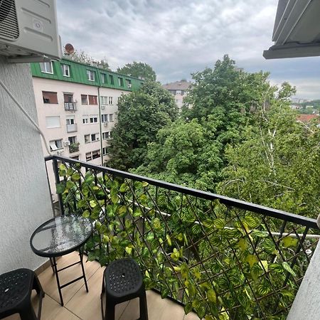 Pavlovic Apartman Belgrade Luaran gambar