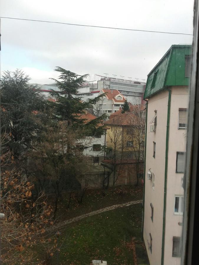 Pavlovic Apartman Belgrade Luaran gambar