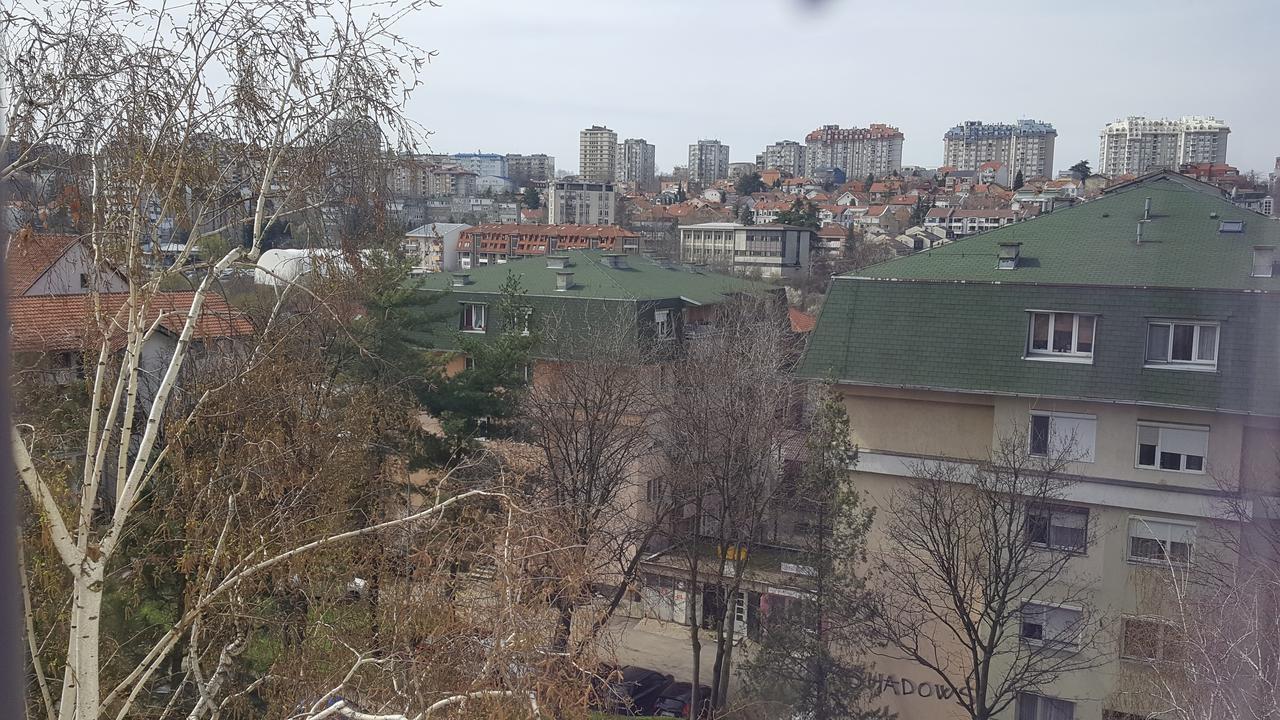 Pavlovic Apartman Belgrade Luaran gambar